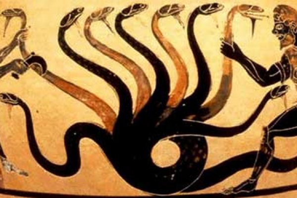 Http kraken